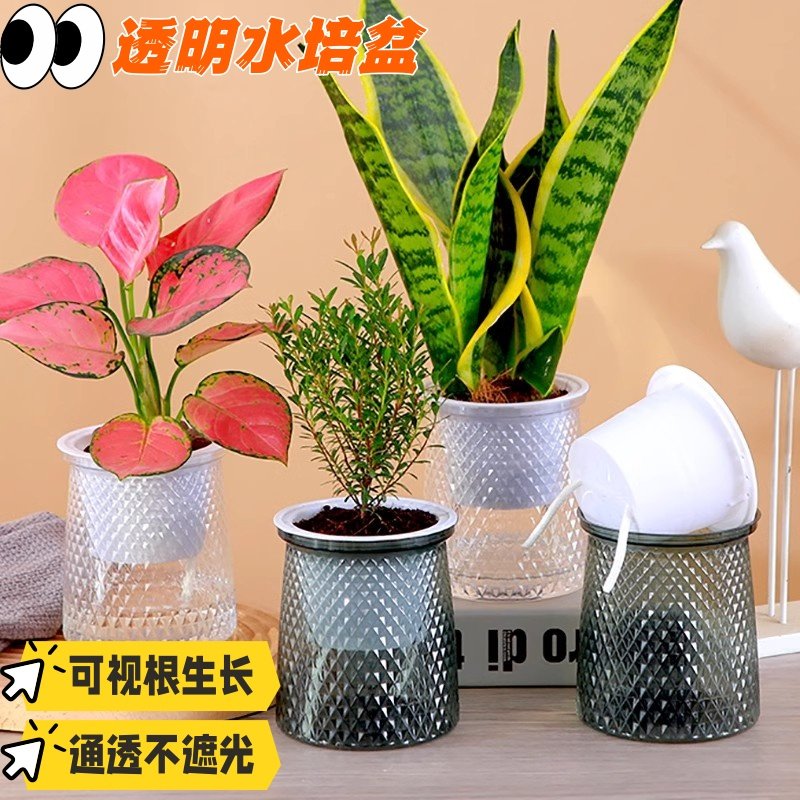 多功能塑料水培绿萝盆懒人自动吸水绿萝家用桌面小花盆免浇水稳定,鲜花速递/花卉仿真/绿植园艺,造型盆景,淘宝优惠券,粉丝福利购,淘宝优惠卷