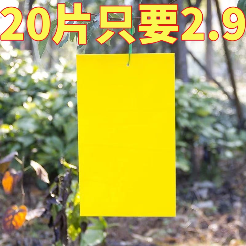 粘虫板黄板双面小飞虫灭杀神器