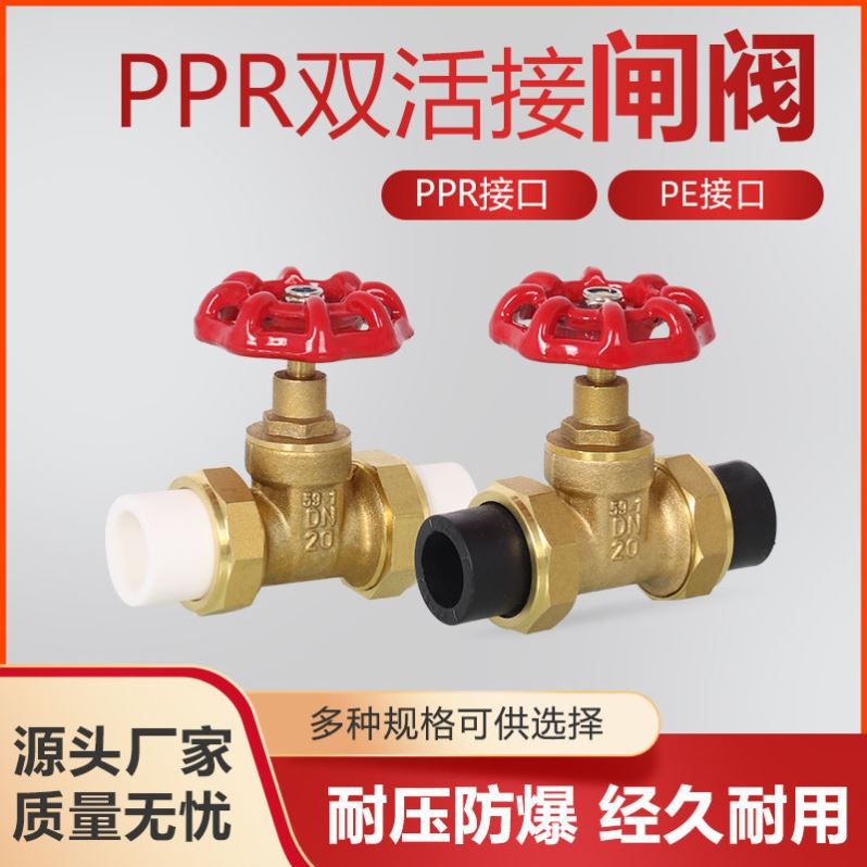 PPR黄铜闸e阀自来水管表前ppr阀门双头活接铜球阀热熔管4分6分1寸