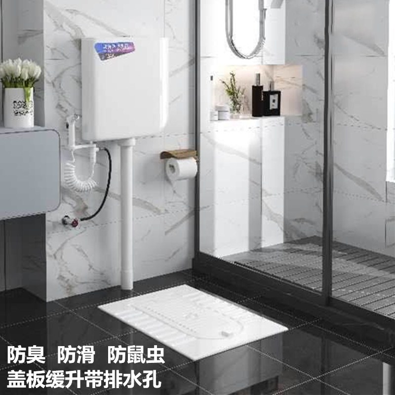 家装新款a广东省带盖板蹲便器陶瓷水箱套装厕所淋浴房通用防臭蹲