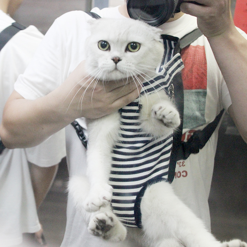 狗狗背包外出双肩宠物便携包胸前外带包小型狗包猫袋猫包猫咪背带