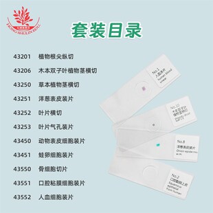 11片部编小学用生物o玻片套装含人血涂片植物根尖纵切生物显微玻