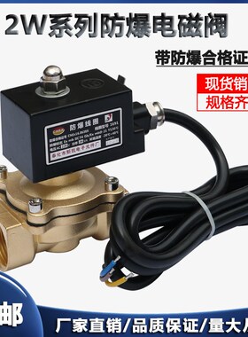 2W250-25E防爆电磁阀天然气煤矿用D气阀水阀1寸 有220V24V