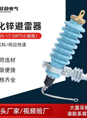 Y5WS-17-50FT(小瓷瓶）高压阀式避雷器广东型陶瓷氧化锌避雷器