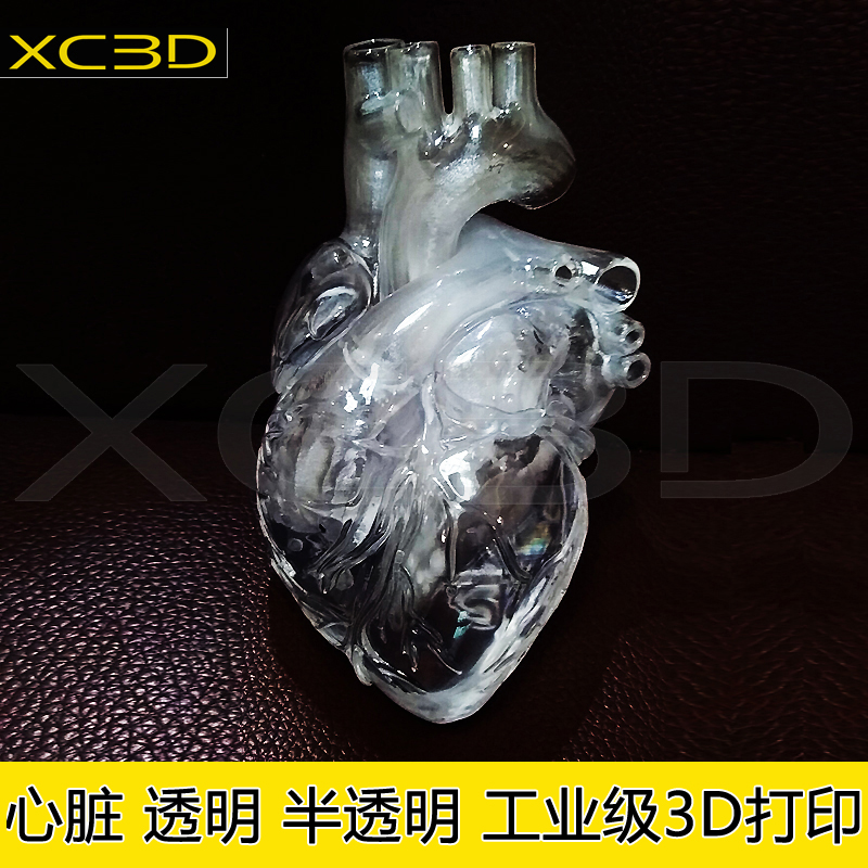3d打印透明心脏模型模具定制服务ABS快速成型高精度树脂医学