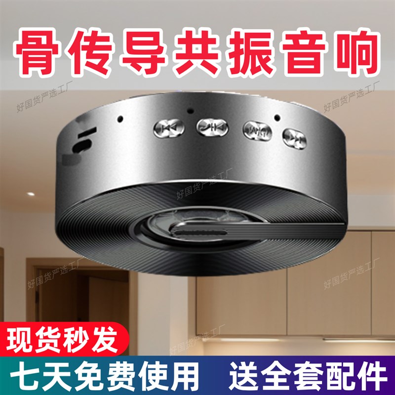 共振骨传导蓝牙音响重低音无线小型车载低音炮卧室户外大功率音箱