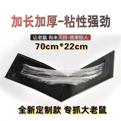 加长厚强力大粘鼠板抓粘大老鼠贴沾胶笼灭捕鼠魔毯克星家用一窝端