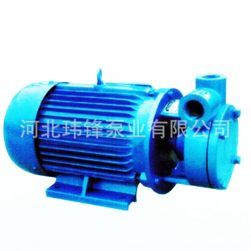 W型旋涡泵小型锅炉给水泵高压旋涡泵牌旋涡泵