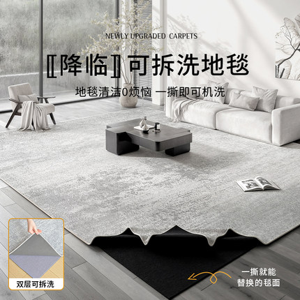 地毯客厅可机洗双层可拆洗2024新款轻H奢高级感沙发茶几加厚地垫
