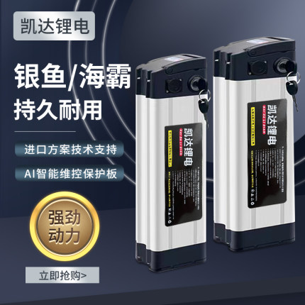 电动车锂电池48v20ah30avh代驾车外送车折叠电动车电池60v电瓶36v