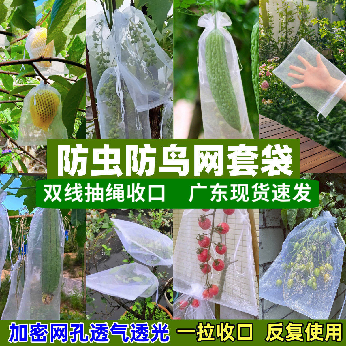 草莓套袋水果套袋丝黄苦瓜套袋防虫网袋葡萄番茄枇杷瓜果网袋罩