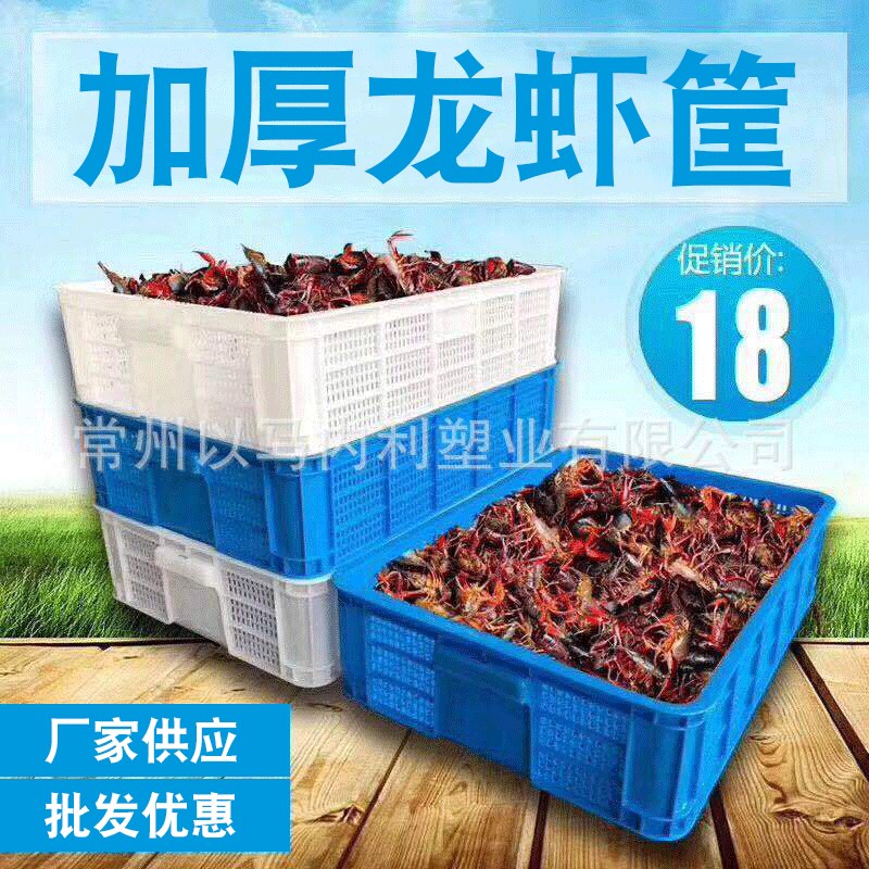 虾苗筐小龙虾周转筐小孔w龙虾框塑料密孔筐养殖搬运周转筐