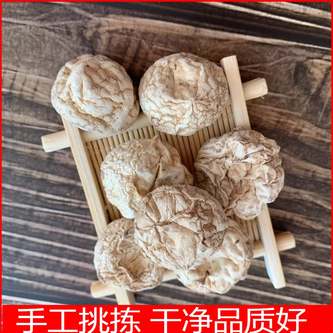 精品口蘑菇河北张家口坝上特产内蒙白蘑炖肉炖汤菇类干货饭店食材