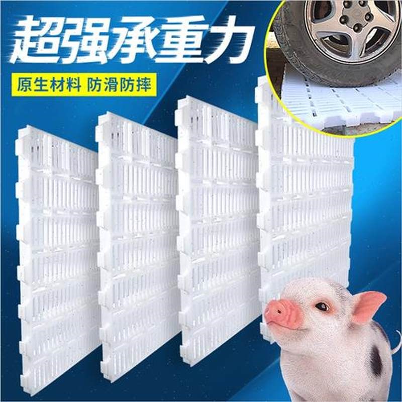 漏粪板猪用产床养殖n塑料小猪保育猪舍仔猪漏Q粪板大猪狗笼漏粪板