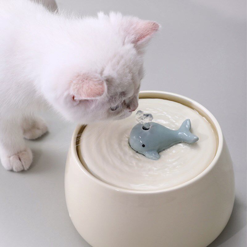 猫咪饮水机宠物陶瓷自p动循环猫碗喂水狗狗水碗流动猫用喝水器水