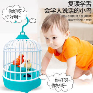 会学人说话的小鸟玩具岁笼模仿会复读儿童益鸟N男孩女孩1一2智宝