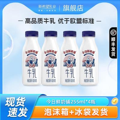 现货今日鲜奶铺牛乳255ml