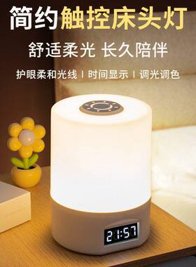 德国进口LED小夜灯卧室睡眠灯护眼台灯学生宿舍充电牀头灯网红