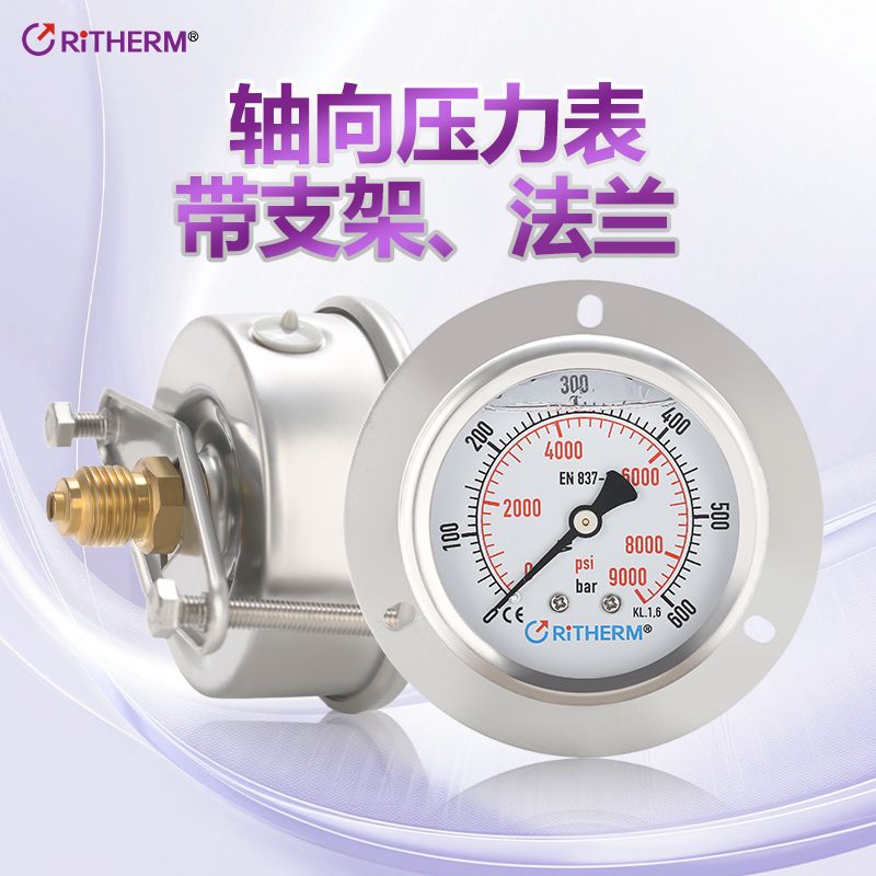 RITHERM德国品质轴向压力表带边