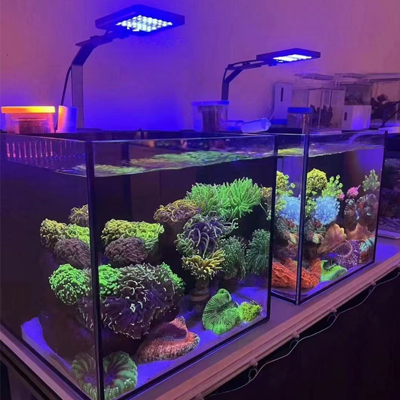 As海缸灯海珊瑚灯LErD小丑鱼小型海水缸专用灯高显色促生长全光谱