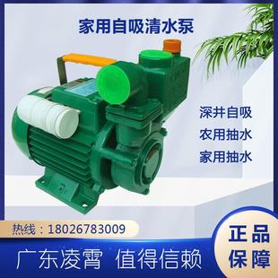 清水IZDB 广东凌霄水泵 45自吸自来水笔家用增压泵单相铸铁
