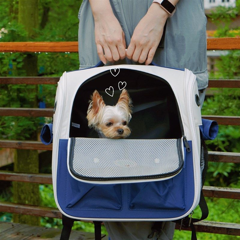 狗狗背包外出包宠物包夏天透气z双肩书包携带狗出行袋猫咪外带猫,宠物/宠物食品及用品,背包/箱包,淘宝优惠券,粉丝福利购,淘宝优惠卷