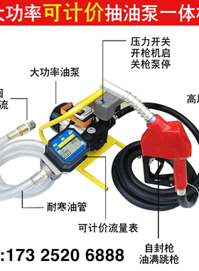 电动抽油泵12Vj24V220V汽油柴油加油泵车载防爆输油泵手提式抽油