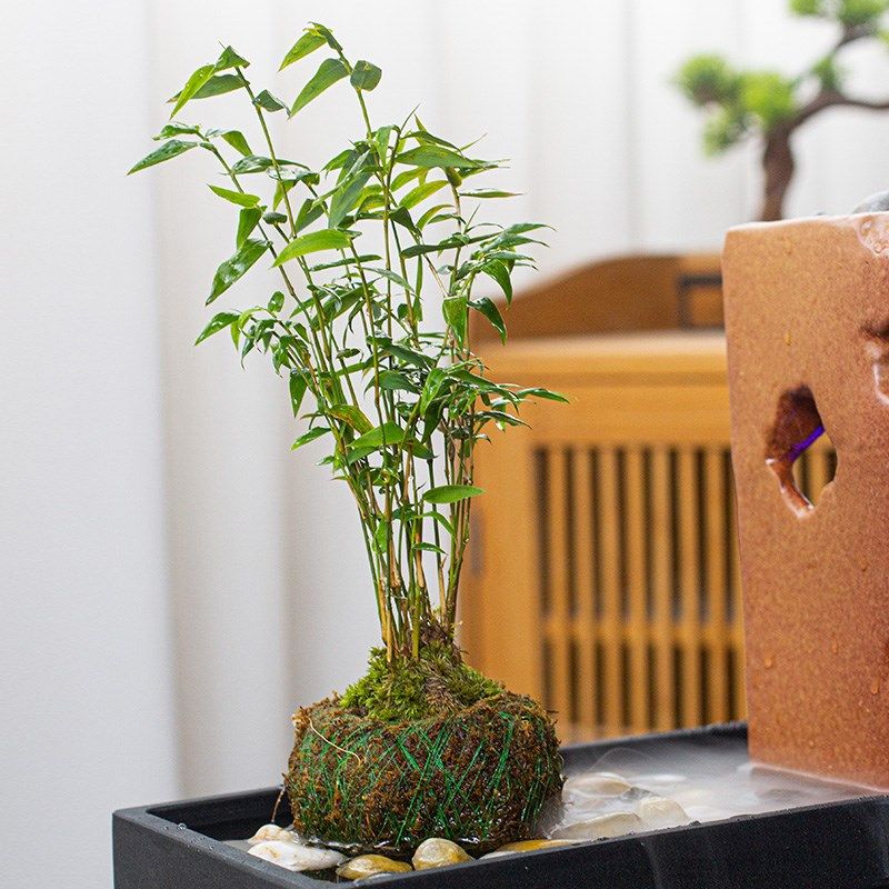 古都陶瓷鱼缸水缸石m槽微景观造景瀑布流水摆件雾化循环水喷泉配,家居饰品,装饰摆件,淘宝优惠券,粉丝福利购,淘宝优惠卷