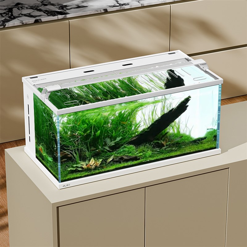 【618爆品】莱易欧2代背滤一体鱼缸双泵客厅桌面方缸超白玻璃鱼缸