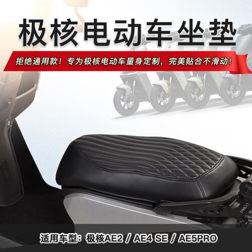 适用极核AE2 AE4 AE5 AE7 AyE8 EZ3i EZ4 MO1电动车专用防水坐垫