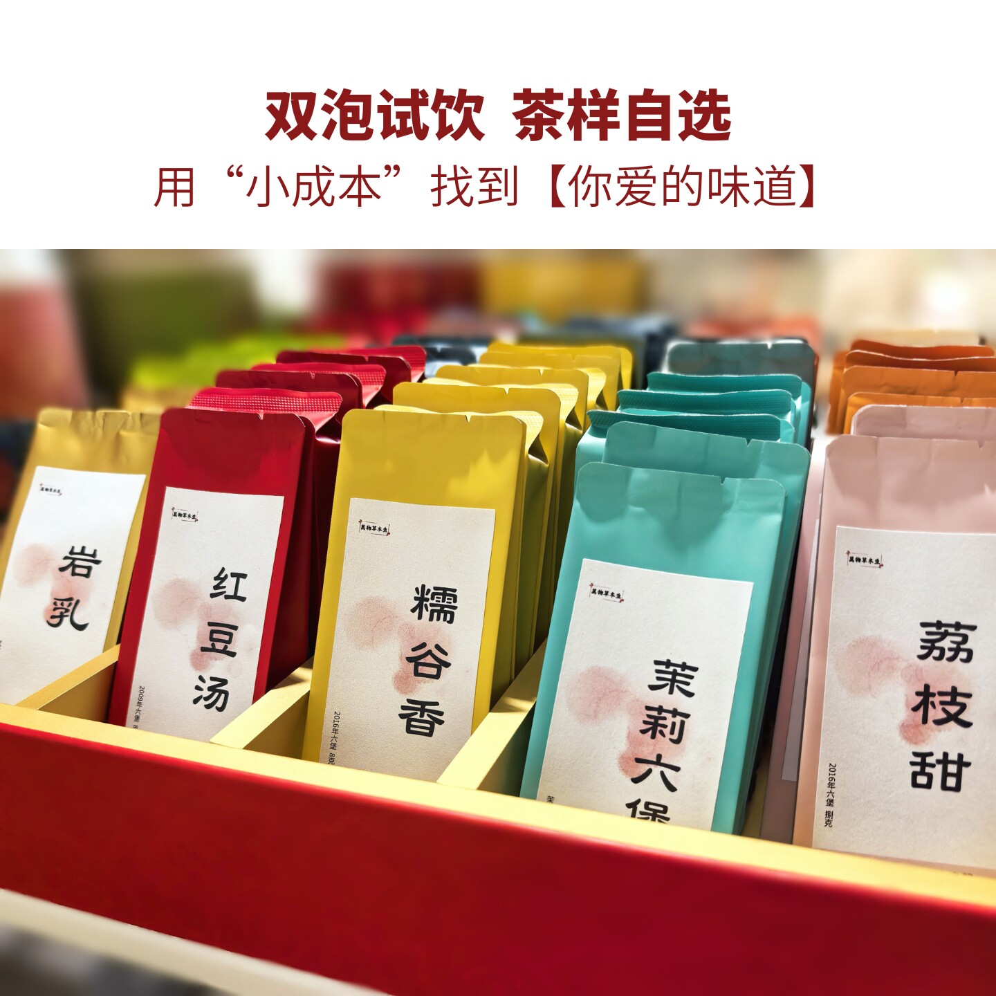 双泡试饮 | 茶样自选花茶白茶茉莉花茶