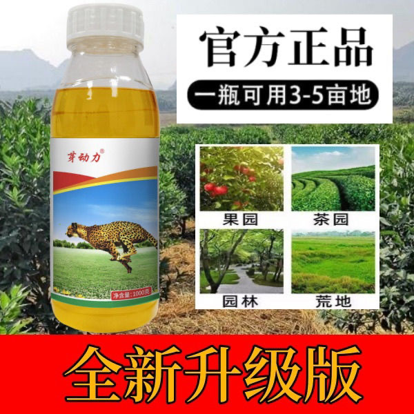 芽动力精草铵膦铵盐直营