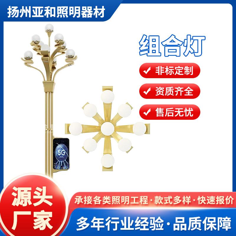 中华灯市政广场工程10米12米15米景观灯道路照明庭院led玉兰灯