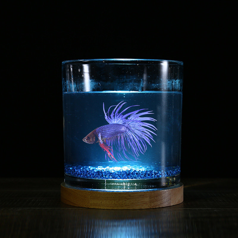 创意客厅小型桌面鱼缸玻璃圆形超白热带斗鱼缸夜灯迷你水族箱摆件