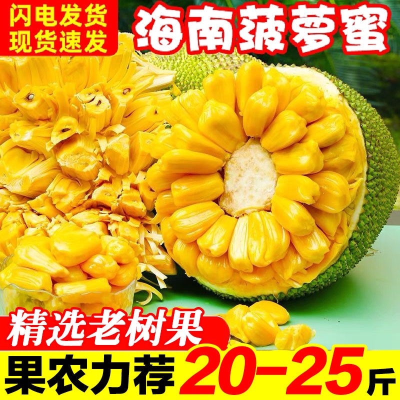海南菠萝蜜丨商超品质回头客多