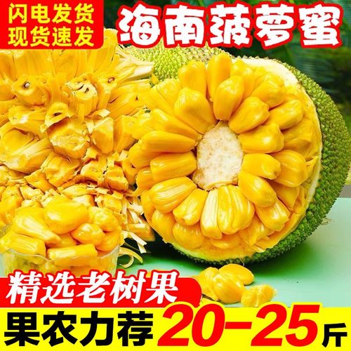 海南菠萝蜜丨商超品质回头客多