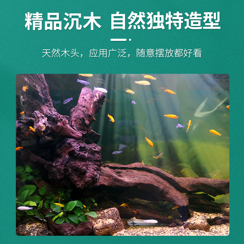 鱼缸天然沉木南美风格原生缸造景素材紫柚木树桩根装饰龟晒台免煮
