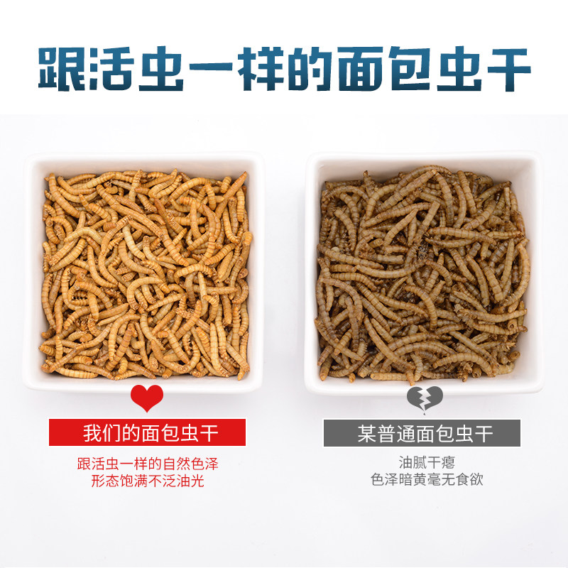 Rep-Shop冻干面包虫干仓鼠乌龟刺猬龙鱼饲料角蛙蜥蜴守宫宠物零食