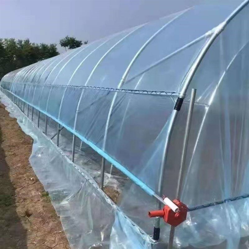 大棚骨架钢管蔬菜养殖保温种植简B易塑料温室棚椭圆管暖棚连栋大