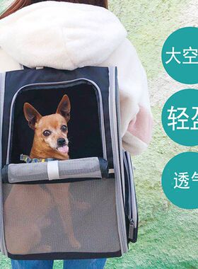 透气双肩猫包g外出便携宠物包猫背包狗包猫咪书包狗狗携带包包轻