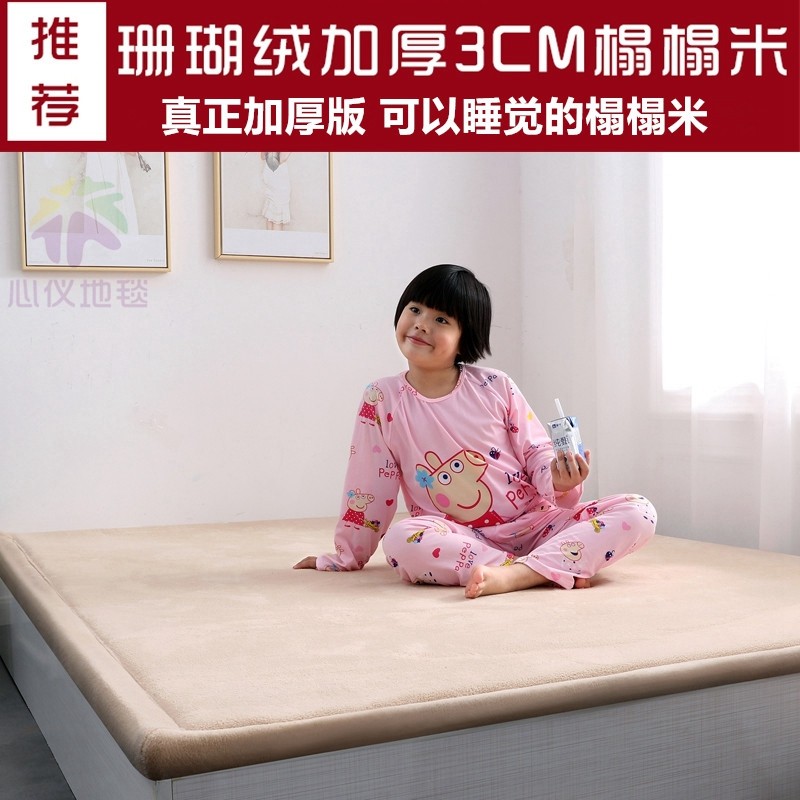 加厚3CM榻榻米地垫定制炕垫家用短毛绒面卧室床边隔W凉地铺地毯垫