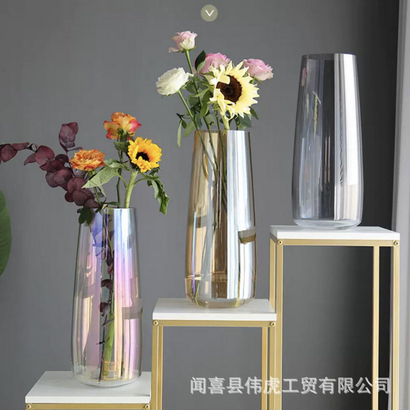 大号玻璃花瓶透明插花q养花富贵竹竹子水竹转运竹马醉木玻璃瓶