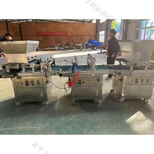 烟草种植穴盘播种机育苗盘蔬菜种子点籽机全自动种子点穴机