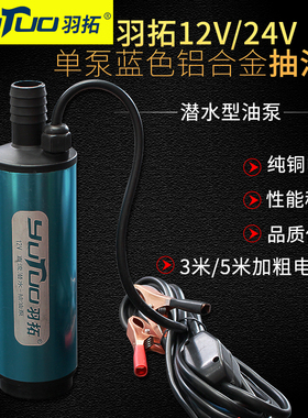 羽拓蓝色铝合金迷你抽油泵124v抽柴油抽水电动大功率不烧机抽油泵