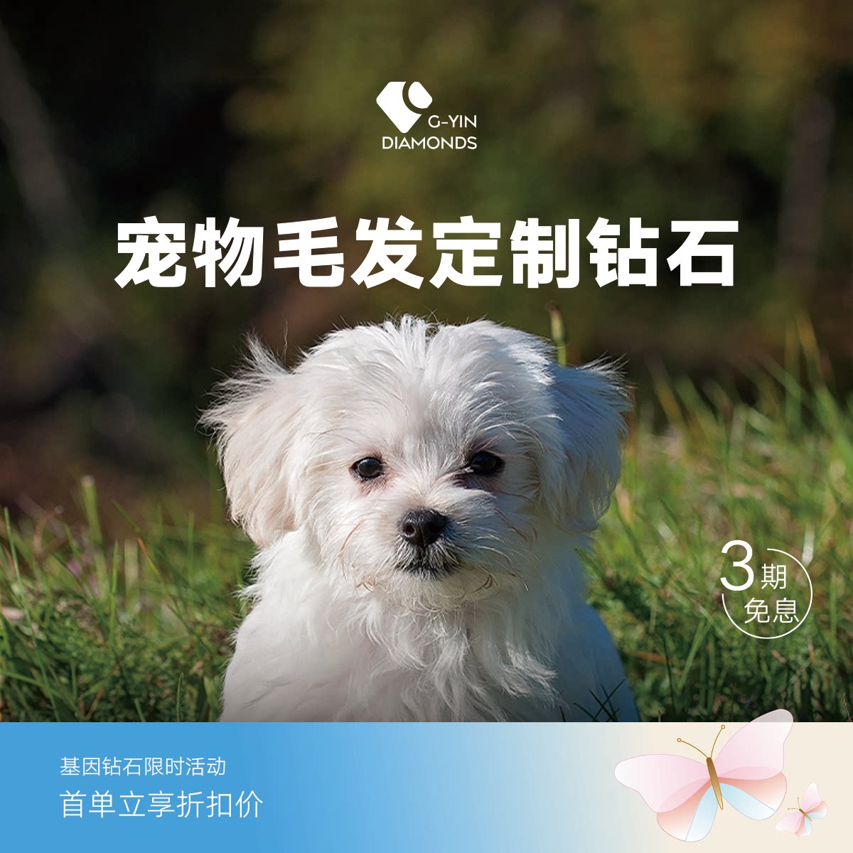 宠物毛发钻石头发胎毛基因钻石
