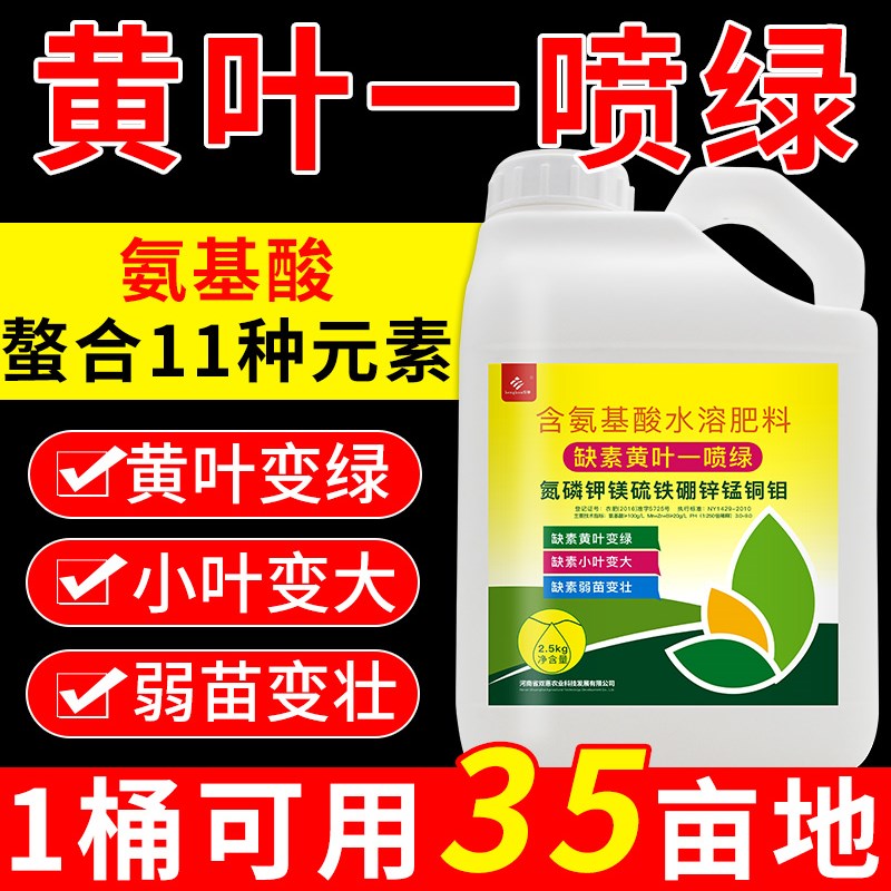 一喷绿叶面肥叶绿素氨基酸叶面肥安基酸水溶肥桶装黄叶喷施营养液
