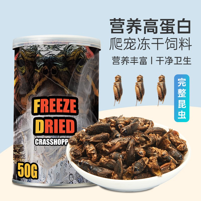 SuperRep保鲜冻干面包虫蝗虫蟋蟀干爬虫鬃狮熊龙鱼鸟刺猬食物饲料