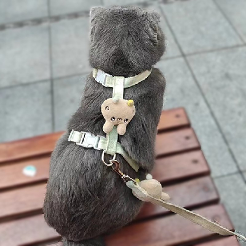 猫咪牵引绳防挣脱外出专用遛猫绳链子神器工字绳幼猫背带宠物用品