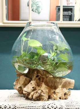 沉木枯木创意个性绿萝铜钱草玻璃水培花插 禅意 新中式小鱼缸摆件