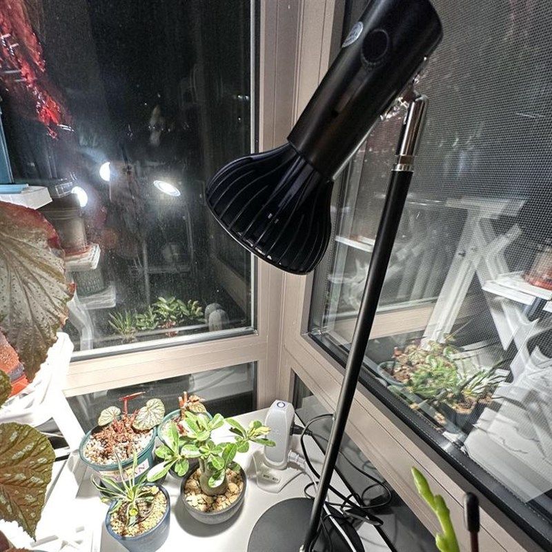 植物补光灯鱼缸灯雨林缸灯加热灯晒背灯落地灯高度分段可调单灯座